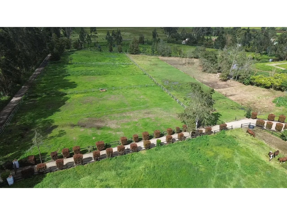 Lote en venta en Los Pinos Club de Polo - 5