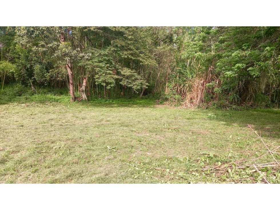 Lote en venta en parcelación campestre - Santa Elena El Cerrito Valle — foto 3