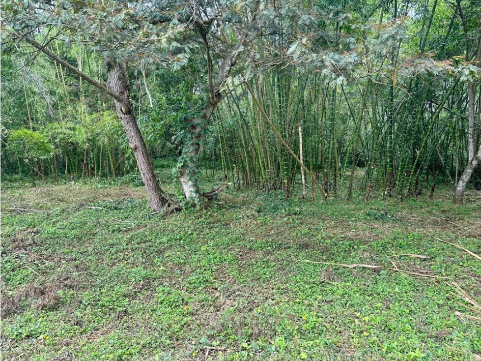 Lote en venta en parcelación campestre - Santa Elena El Cerrito Valle — foto 4
