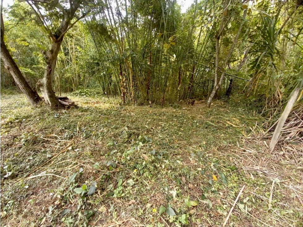 Lote en venta en parcelación campestre - Santa Elena El Cerrito Valle — foto 5