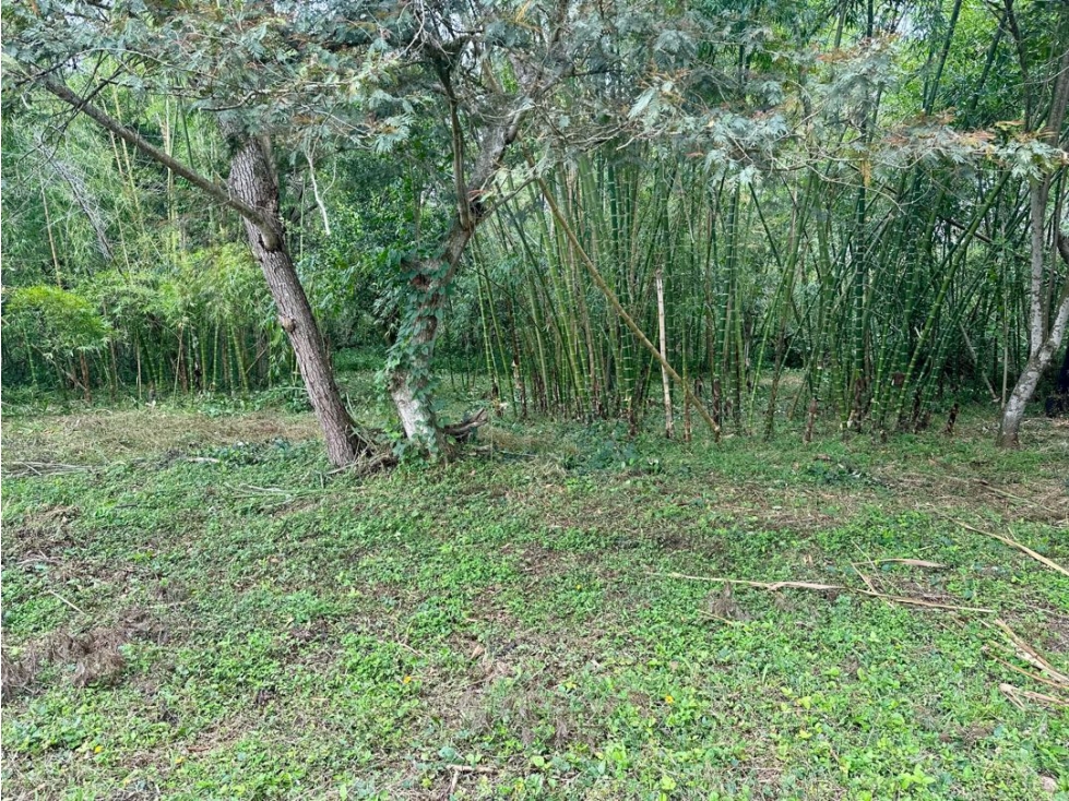 Lote en venta en parcelación campestre - Santa Elena El Cerrito Valle — foto 6