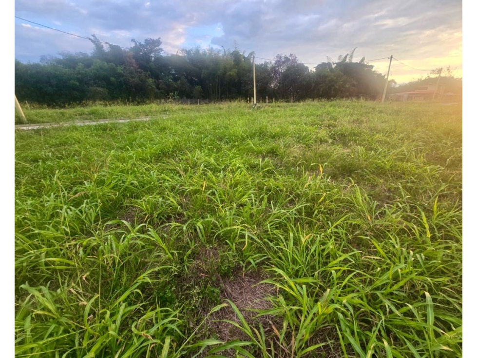 Lote en venta en parcelación campestre - Santa Elena El Cerrito Valle — foto 6