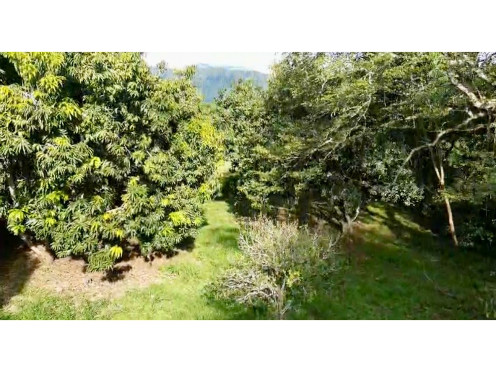 VENTA DE LOTE EN PARCELACIÓN EN SOPETRAN (ACEPTA PERMUTA) — foto 6