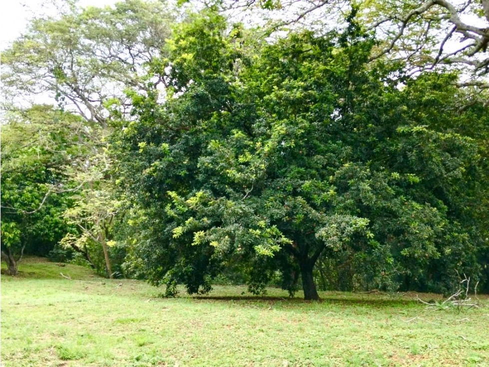 VENTA DE LOTE EN PARCELACIÓN EN SOPETRAN (ACEPTA PERMUTA) — foto 5