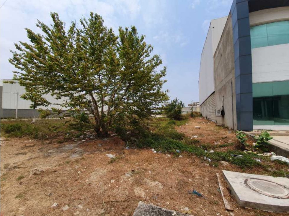 Lote en Venta en Parque Industrial Caribe Verde - 5