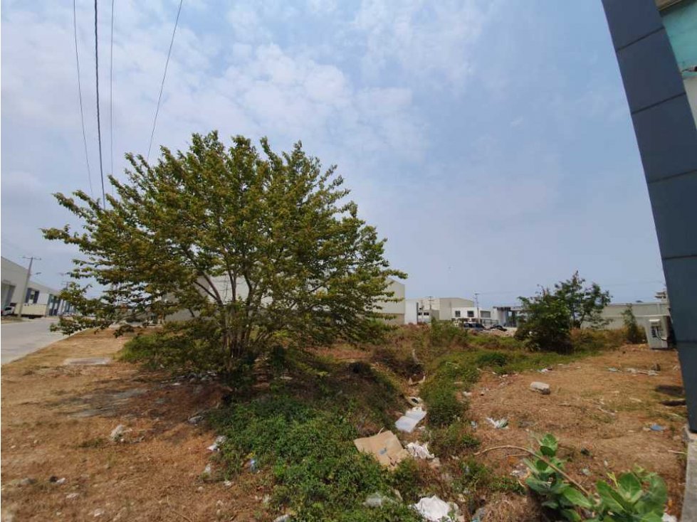Lote en Venta en Parque Industrial Caribe Verde - 6