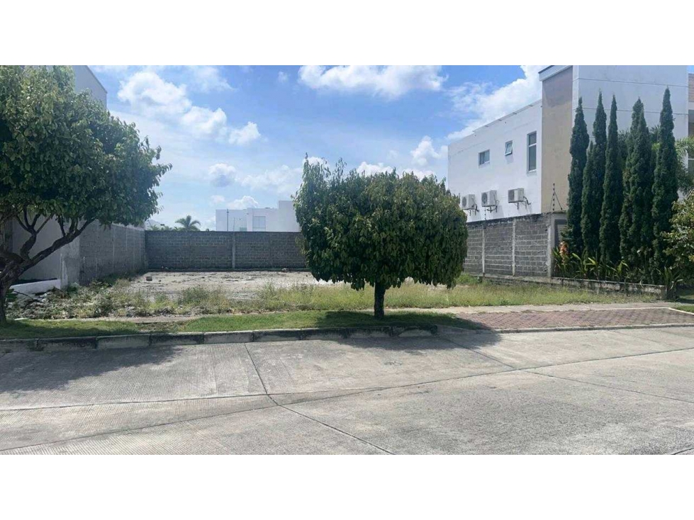 LOTE EN VENTA EN PICACHO MONTERÍA
