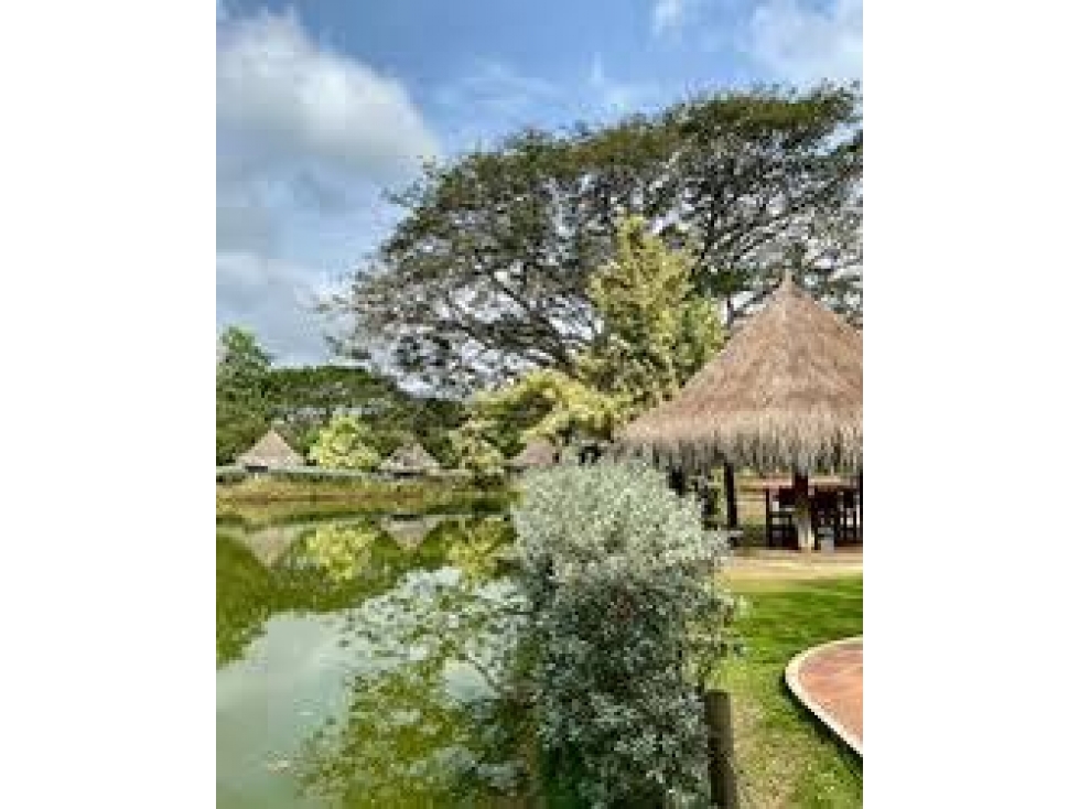Lote en venta en pilamo Monteria