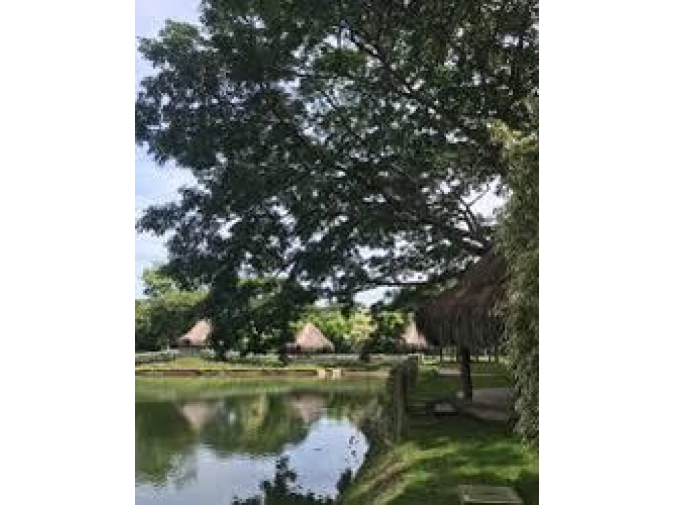 Lote en venta en pilamo Monteria — foto 3