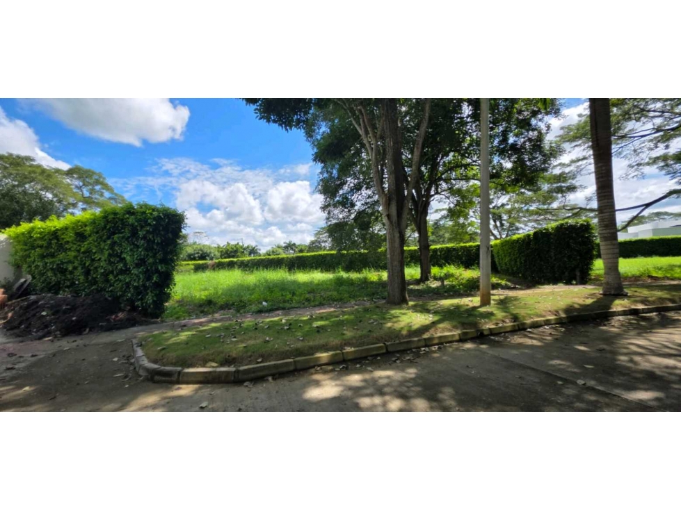 LOTE EN VENTA EN PILAMO MONTERIA — foto 2
