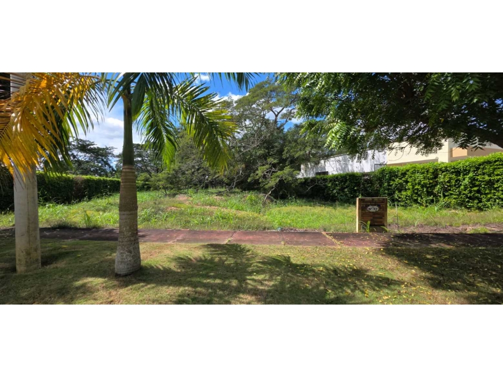 LOTE EN VENTA EN PILAMO MONTERIA — foto 3