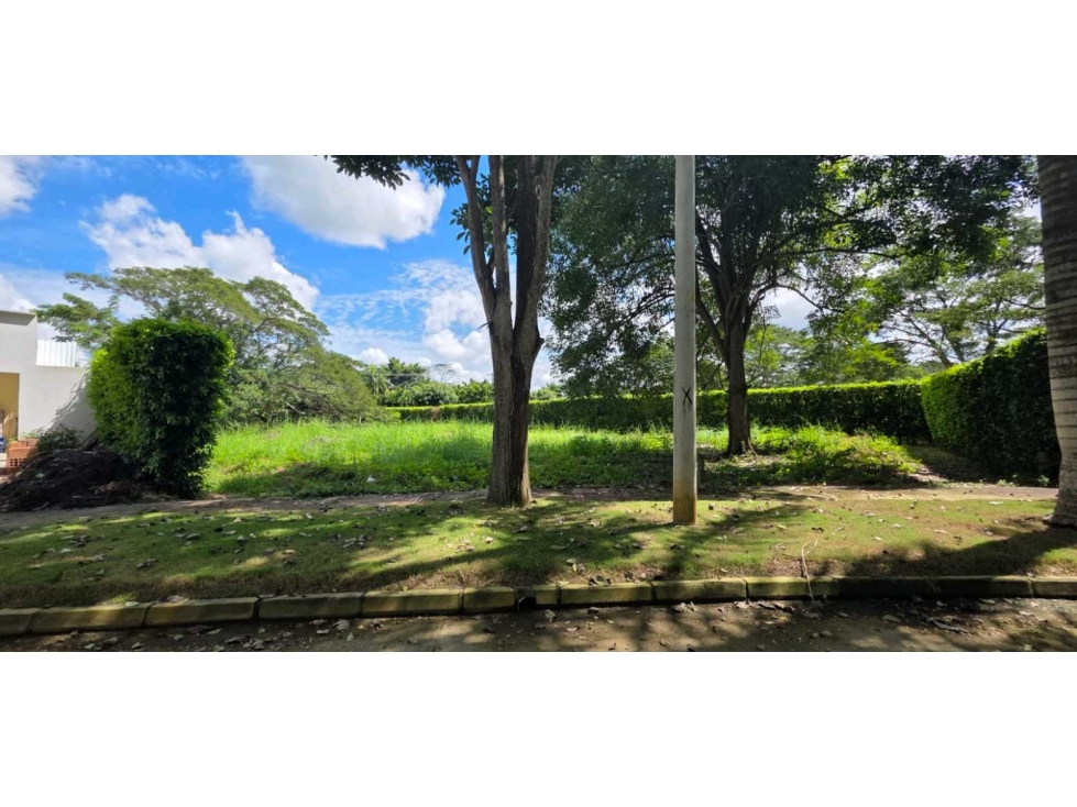 LOTE EN VENTA EN PILAMO MONTERIA — foto 4