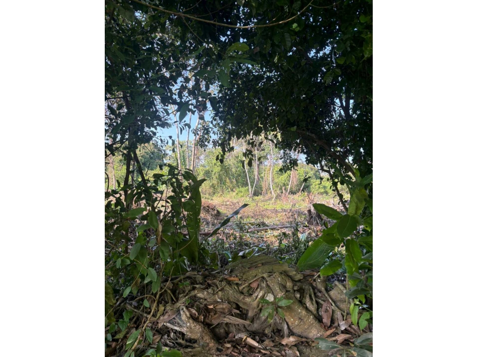 LOTE EN VENTA EN PUNTA BOLIVAR - 1