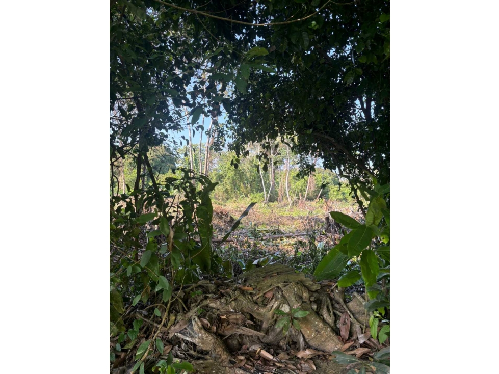 LOTE EN VENTA EN PUNTA BOLIVAR - 2