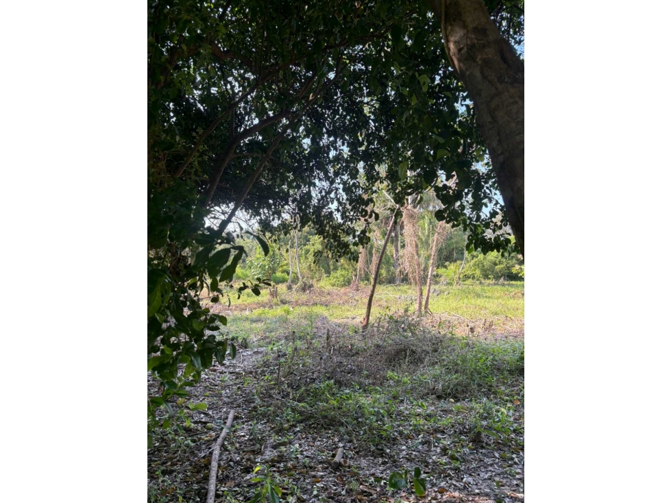 LOTE EN VENTA EN PUNTA BOLIVAR - 3