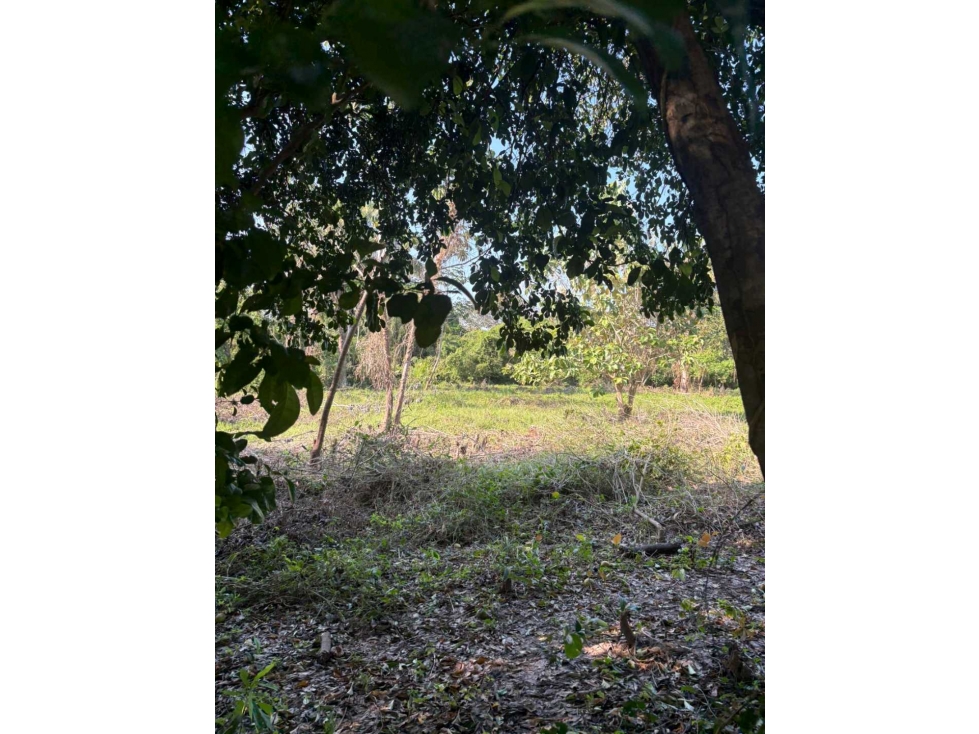 LOTE EN VENTA EN PUNTA BOLIVAR - 4