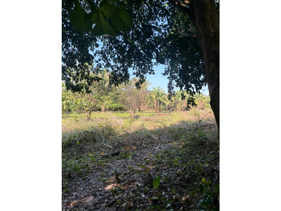 LOTE EN VENTA EN PUNTA BOLIVAR - 5