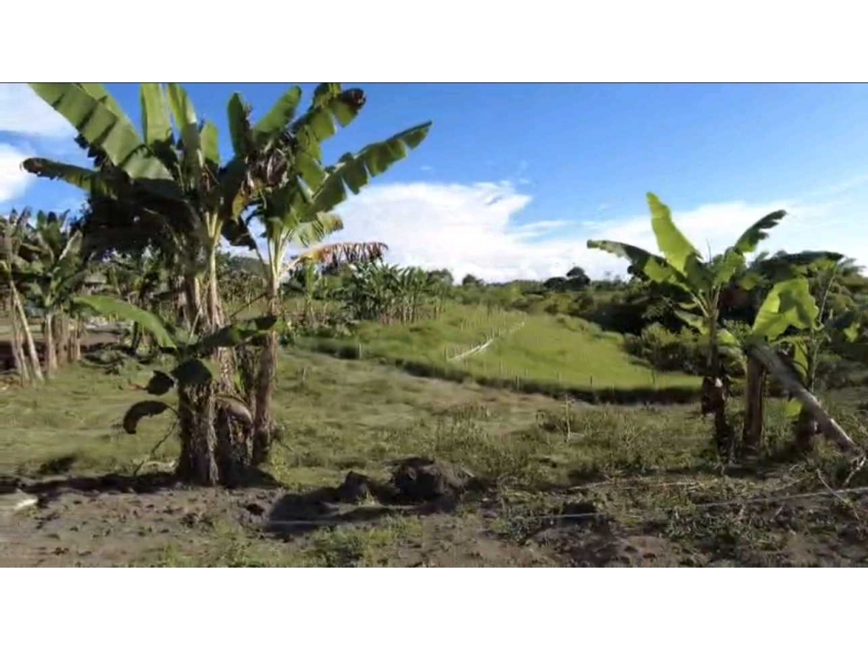 Lote en venta en quimbaya Quindío - 1