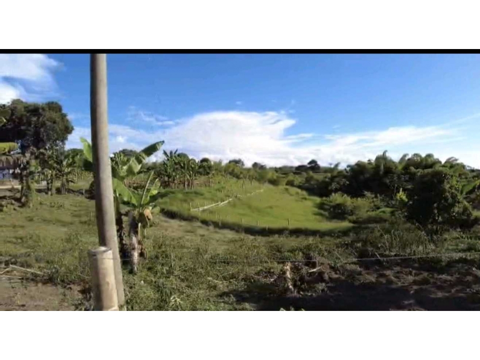 Lote en venta en quimbaya Quindío - 2
