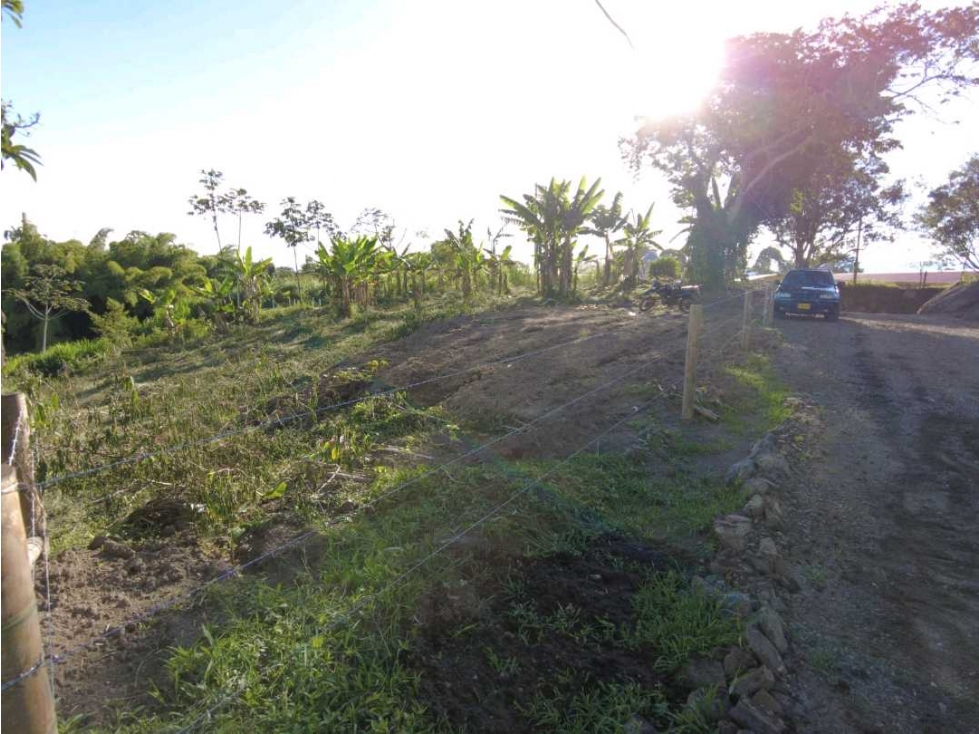 Lote en venta en quimbaya Quindío - 3