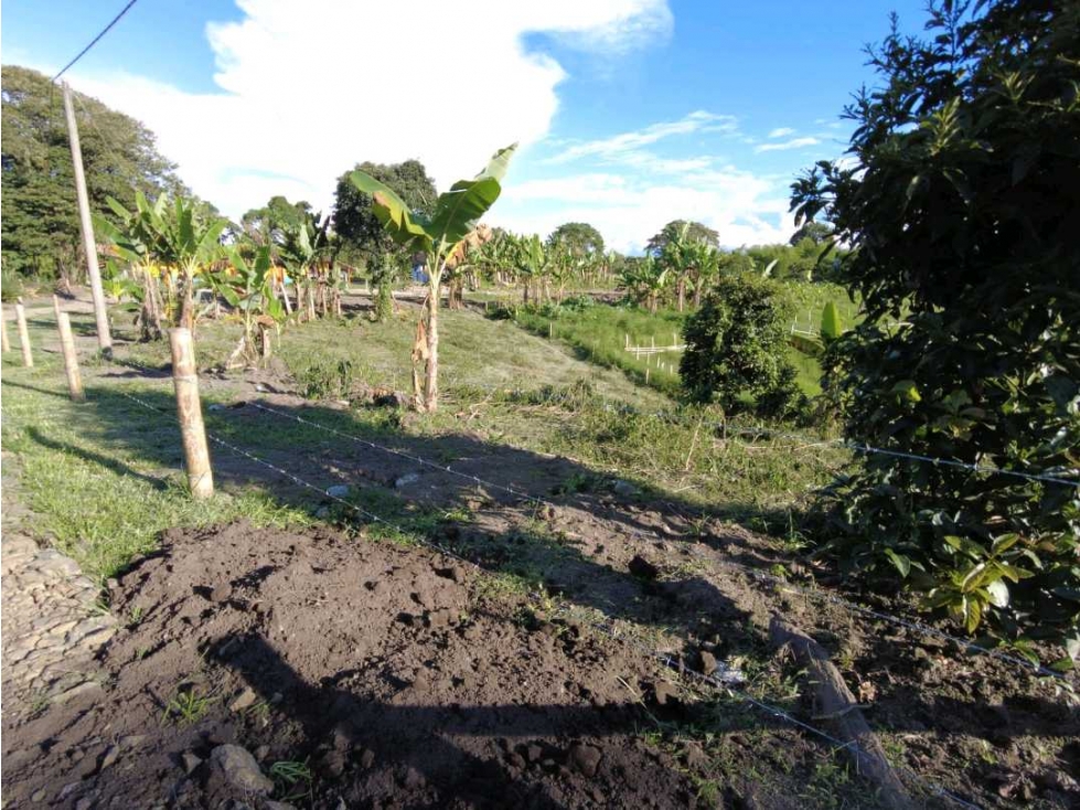 Lote en venta en quimbaya Quindío - 4