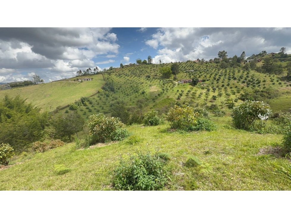 lote en venta en Rionegro vía san Vicente Ferrer sector la primavera
