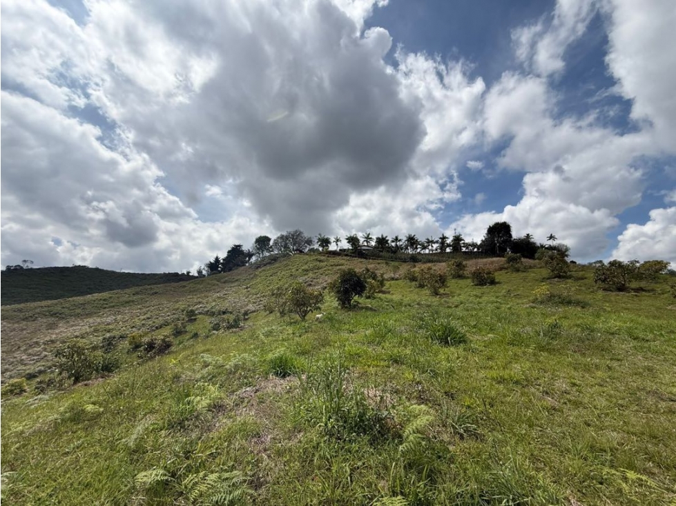 lote en venta en Rionegro vía san Vicente Ferrer sector la primavera — foto 4