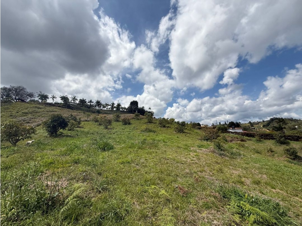 lote en venta en Rionegro vía san Vicente Ferrer sector la primavera — foto 5