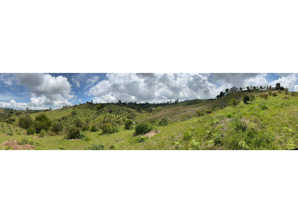 lote en venta en Rionegro vía san Vicente Ferrer sector la primavera — foto 6