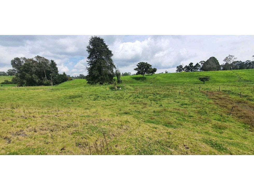 LOTE EN VENTA EN SAN PEDRO 1.897 M² APROVECHABLES LLANO DE OVEJAS — foto 5