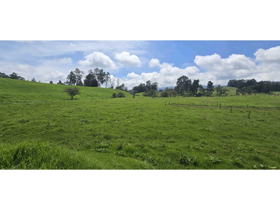 LOTE EN VENTA EN SAN PEDRO 1.897 M² APROVECHABLES LLANO DE OVEJAS — foto 6