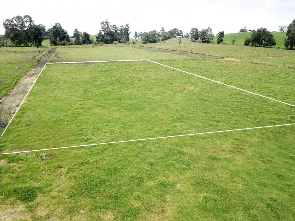 LOTE EN VENTA EN SAN PEDRO DE LOS MILAGROS LLANO DE OVEJAS