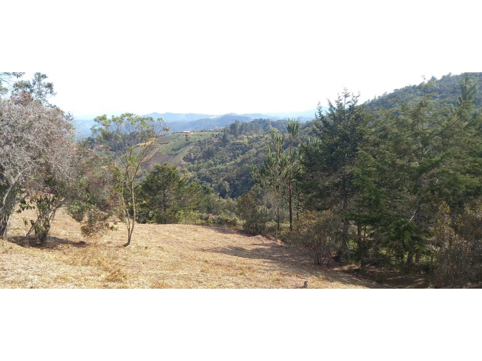 LOTE EN VENTA SAN VICENTE FERRER ANTIOQUIA COLOMBIA