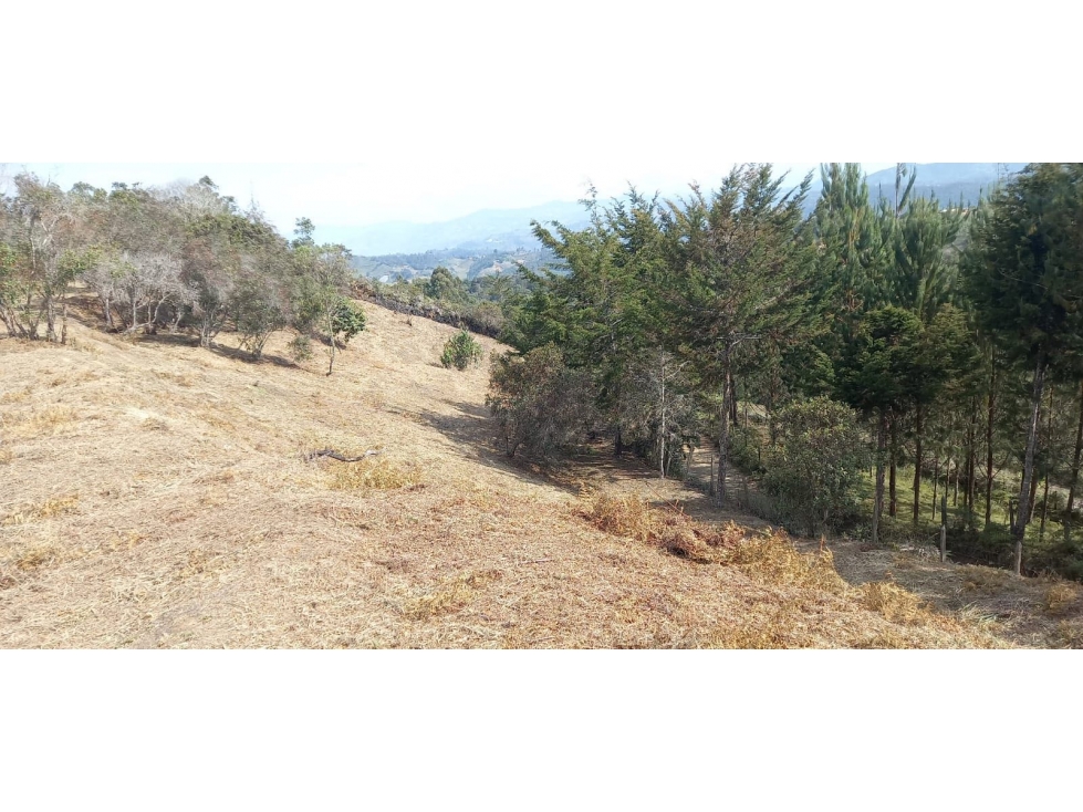 LOTE EN VENTA SAN VICENTE FERRER ANTIOQUIA COLOMBIA — foto 2
