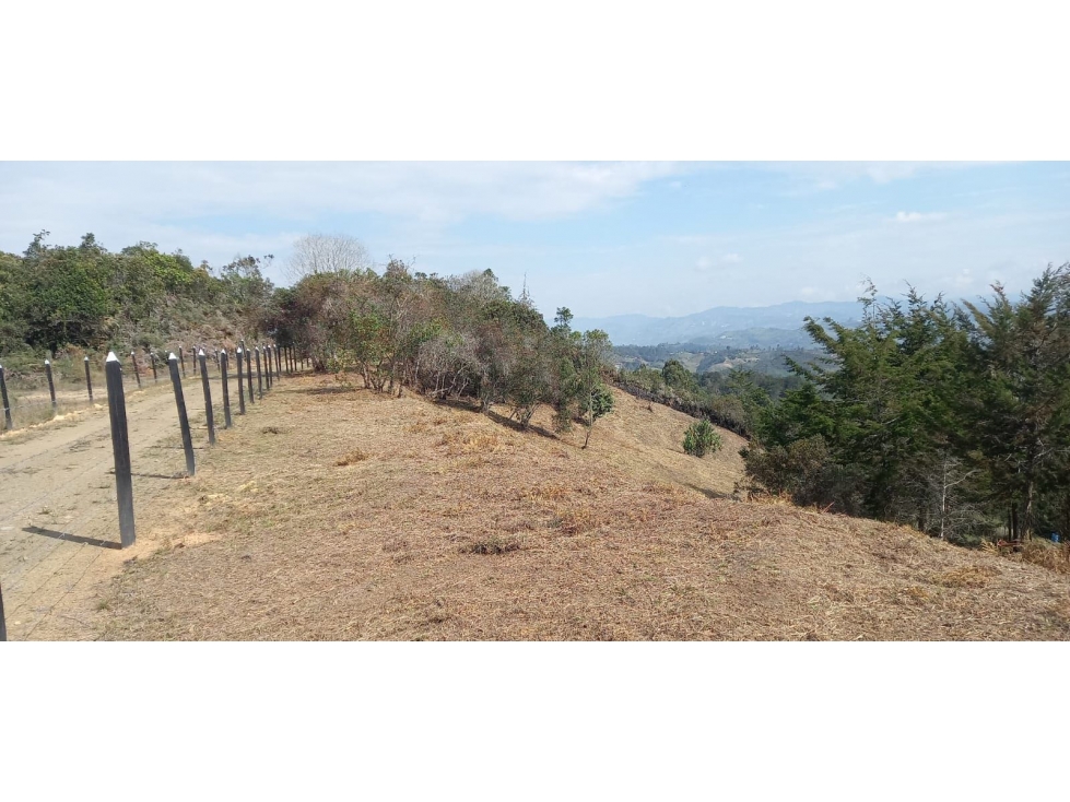 LOTE EN VENTA SAN VICENTE FERRER ANTIOQUIA COLOMBIA — foto 4