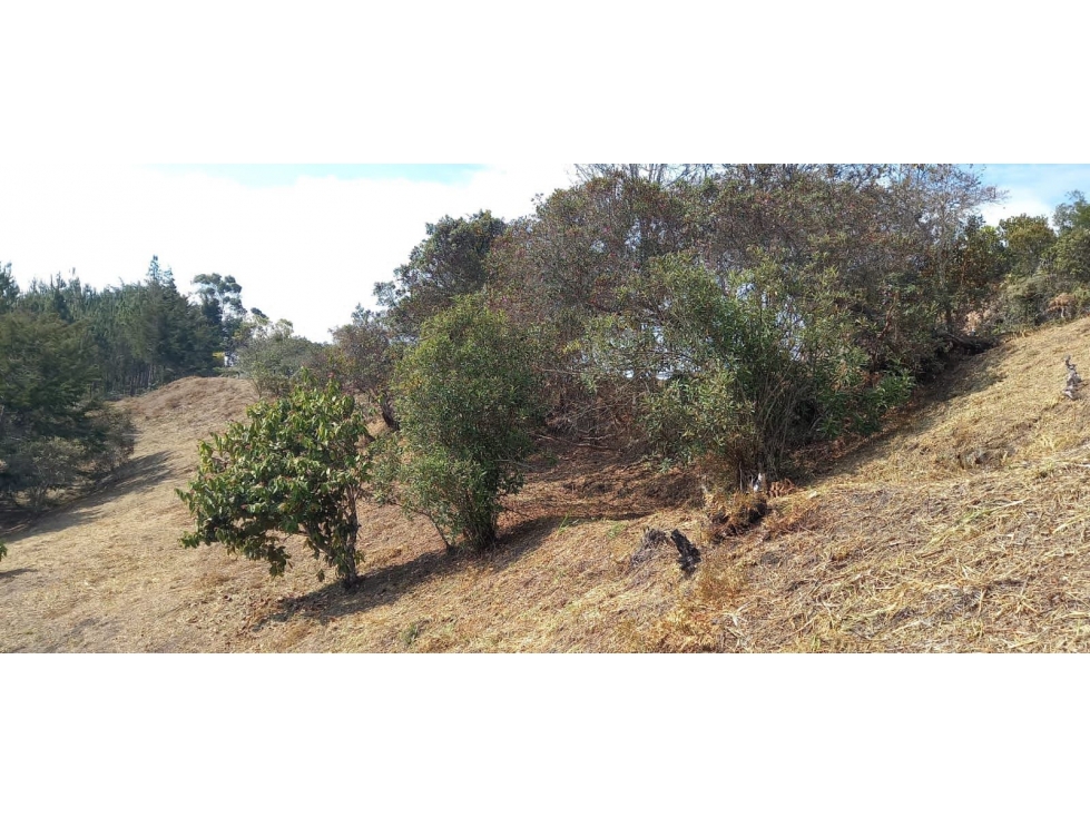LOTE EN VENTA SAN VICENTE FERRER ANTIOQUIA COLOMBIA — foto 5