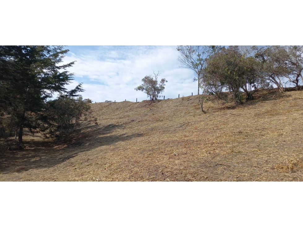 LOTE EN VENTA SAN VICENTE FERRER ANTIOQUIA COLOMBIA — foto 6