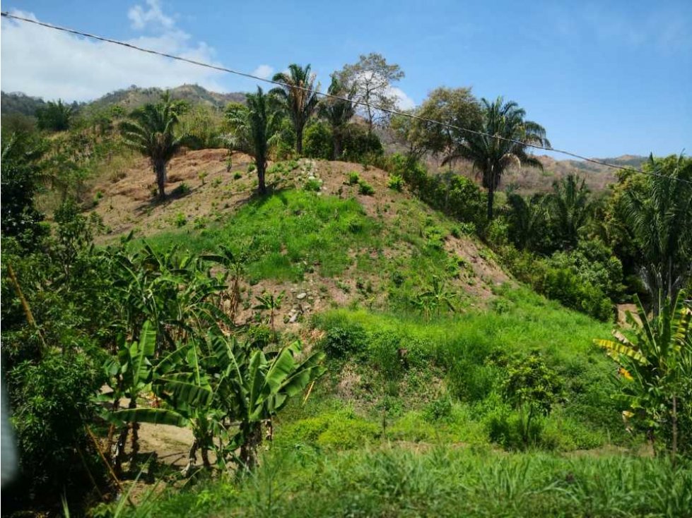 Lote en venta en Santa Marta — foto 4