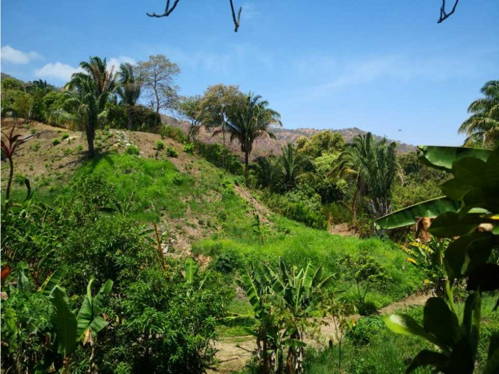 Lote en venta en Santa Marta — foto 5