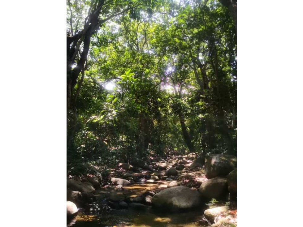 Lote en venta en Santa Marta — foto 6