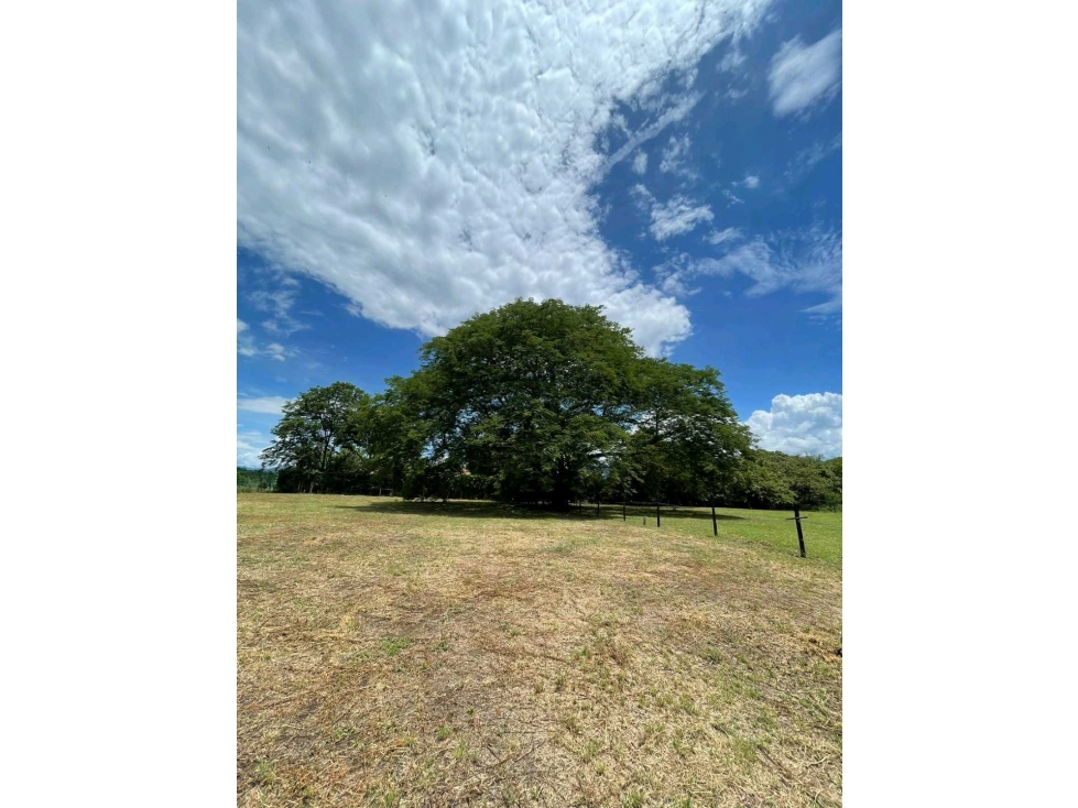 Lote en Venta en Sopetran