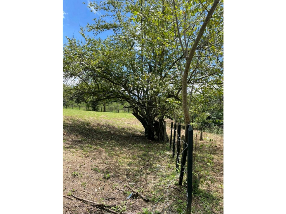 Lote en Venta en Sopetran — foto 5
