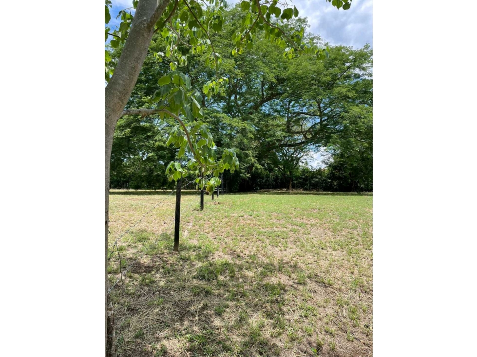 Lote en Venta en Sopetran — foto 6