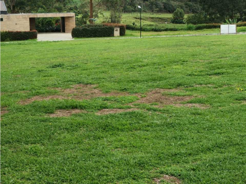 Lote en venta en unidad cerrada vía san Antonio la Ceja (LDC) — foto 3