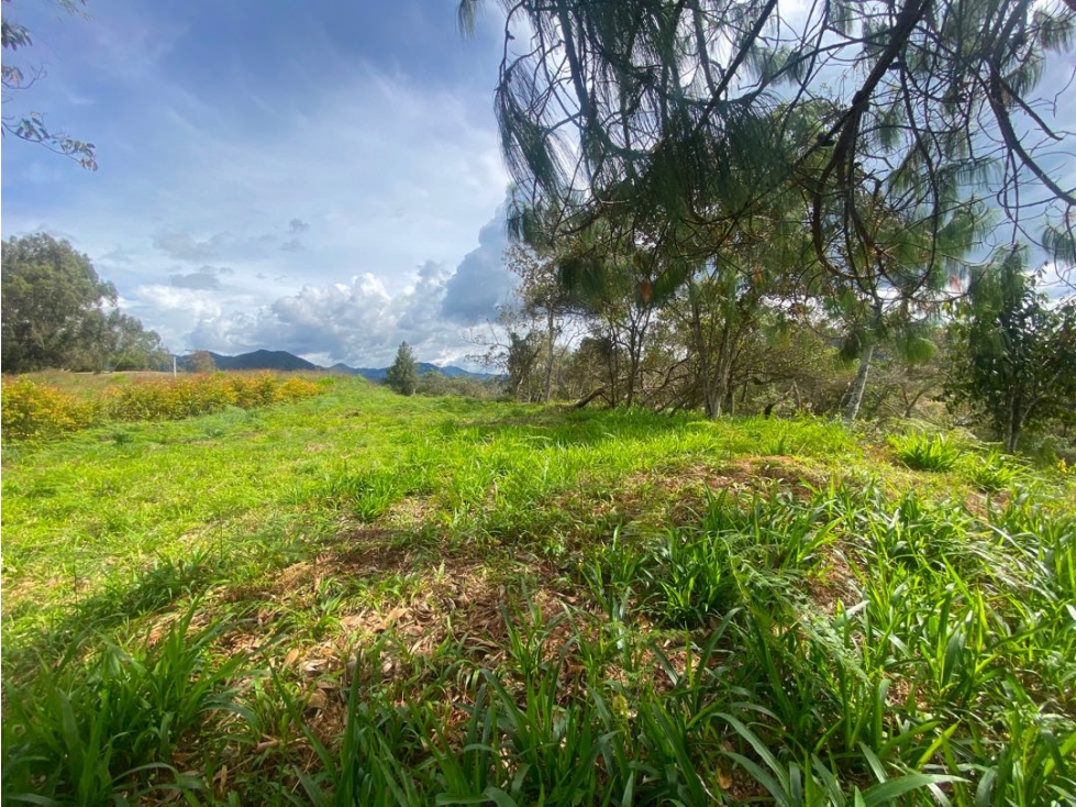 Lote en venta en unidad cerrada via San Antonio la ceja