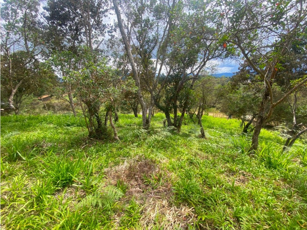 Lote en venta en unidad cerrada via San Antonio la ceja — foto 2