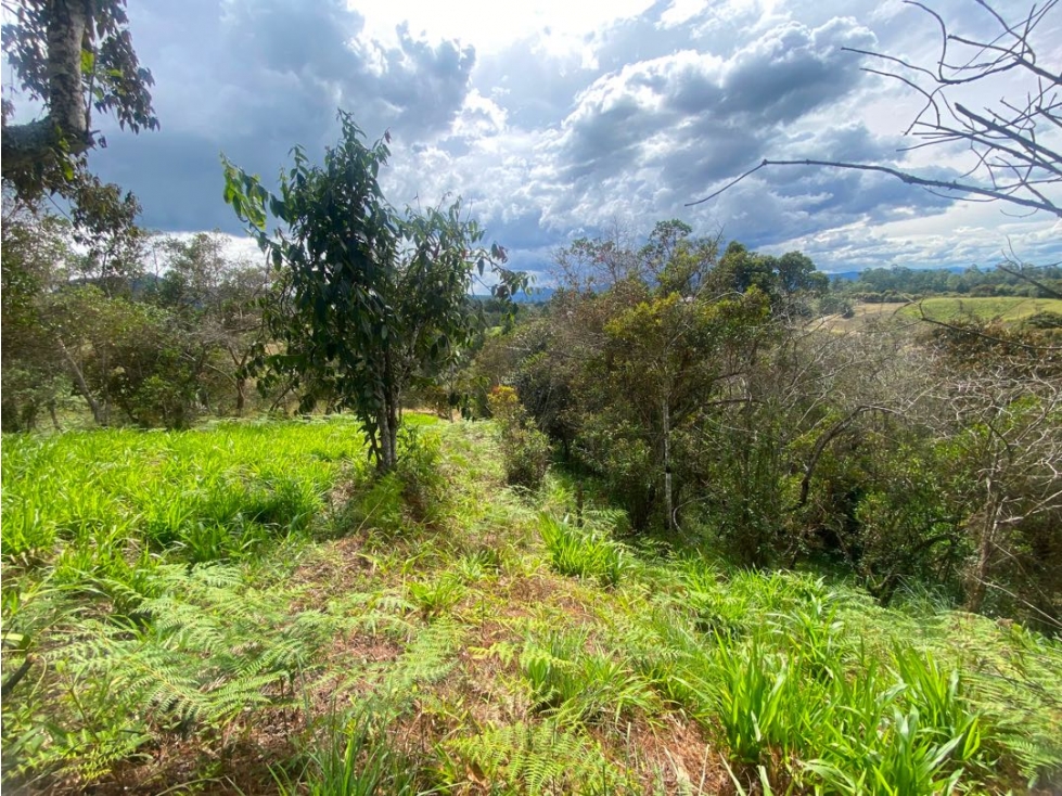 Lote en venta en unidad cerrada via San Antonio la ceja — foto 3