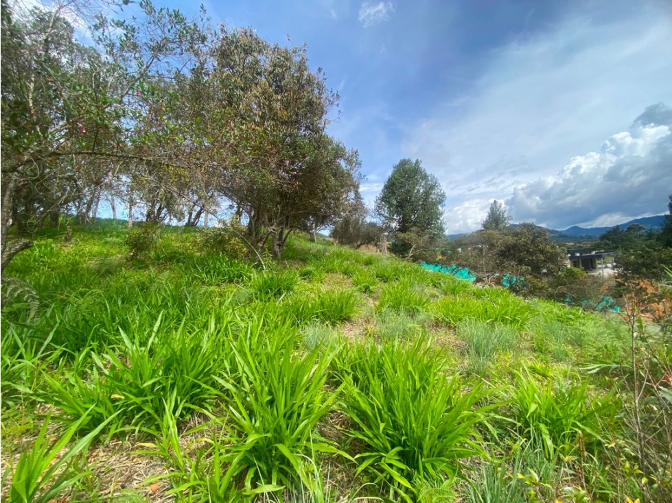 Lote en venta en unidad cerrada via San Antonio la ceja — foto 4