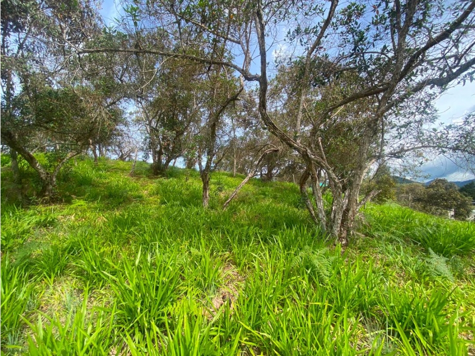 Lote en venta en unidad cerrada via San Antonio la ceja — foto 5