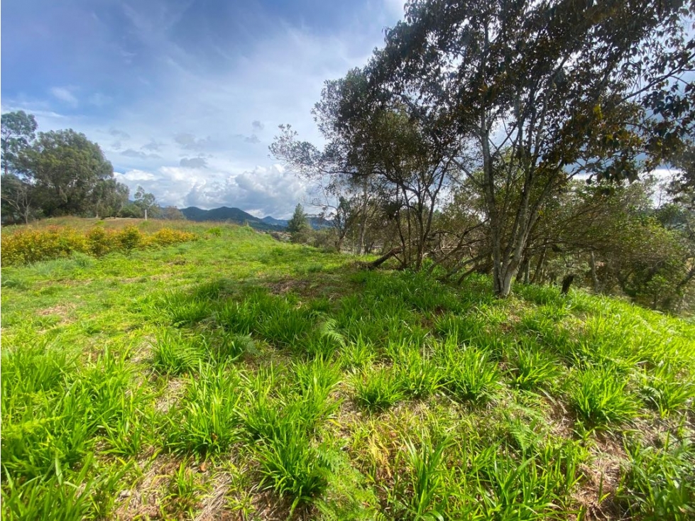 Lote en venta en unidad cerrada via San Antonio la ceja — foto 6